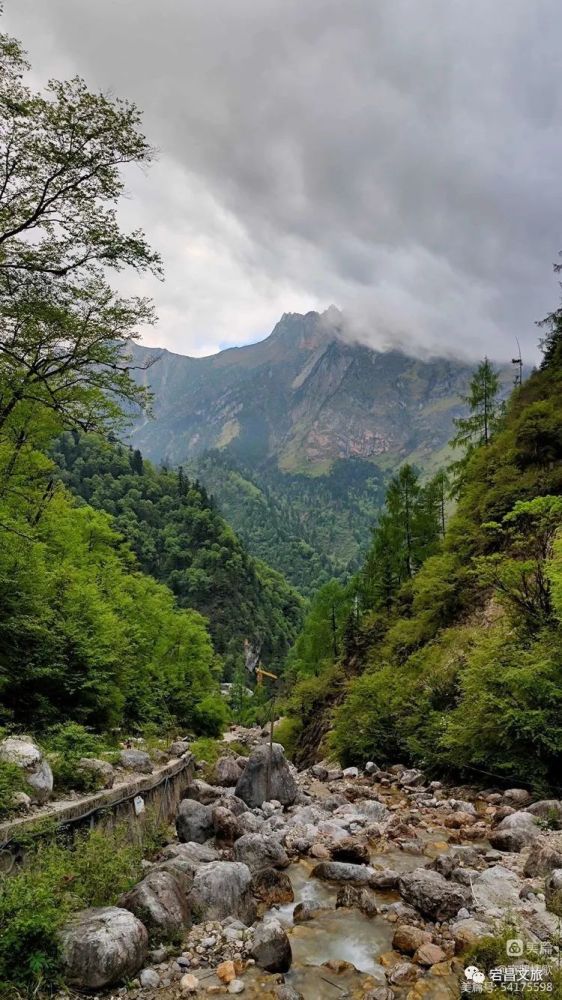 雷古山屹立于陇南市宕昌县南部,是宕昌与甘南州舟曲县的分界山,这里