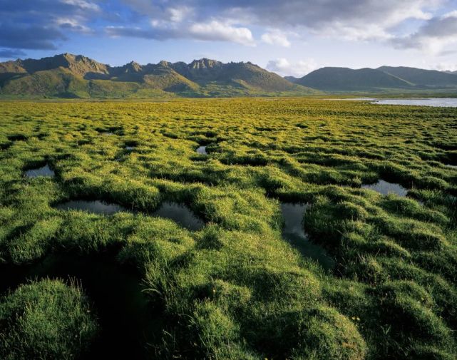 情系高原净土,守护山宗水源,今天一起走近三江源国家公园