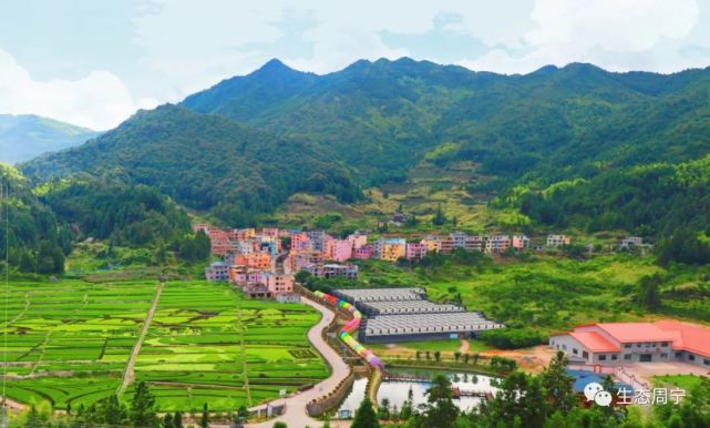 闽东特色乡村振兴之路周宁后洋村生态产业让乡村流金淌银