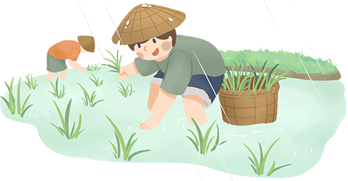 下水摸鱼,下田插秧……句容市第七届农耕文化插秧节如约而至!