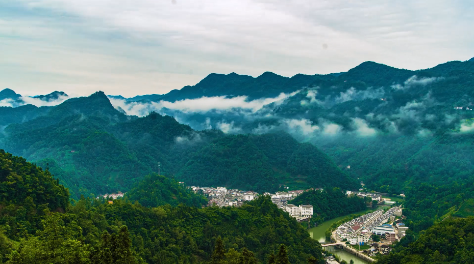 镇巴县生态为基02招引赋能推动重点项目建设加速推进