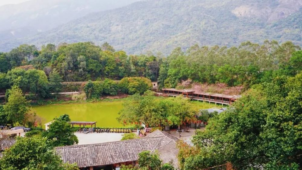 坐落於仙山福地國家5a羅浮山景區旁/ 生態養生·羅浮山清水湖農莊