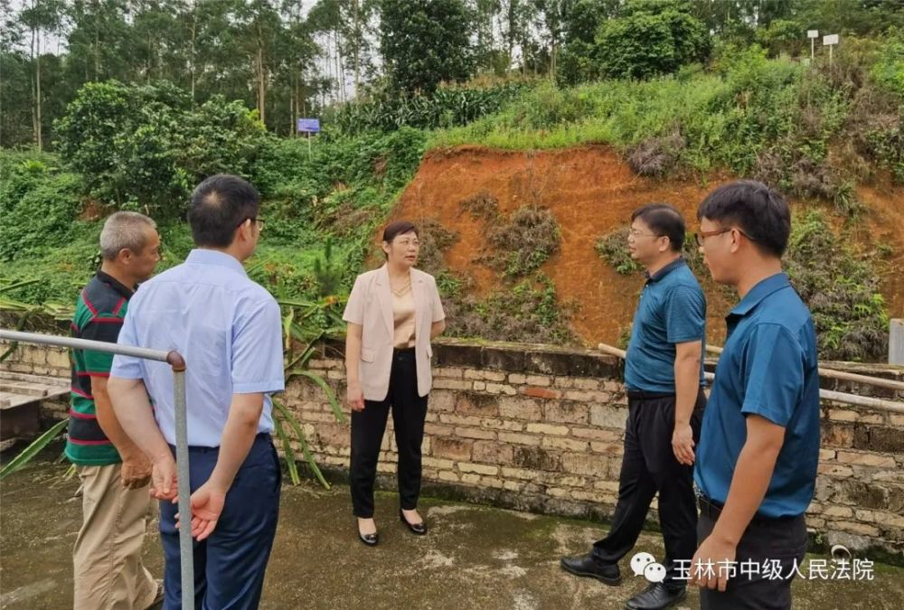 胡海蘭院長先後來到博白龍潭鎮,松旺鎮,雙旺鎮,大壩鎮,沙陂鎮等地指導