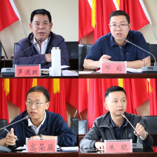 转龙镇召开周工作例会暨当前重点工作推进会!