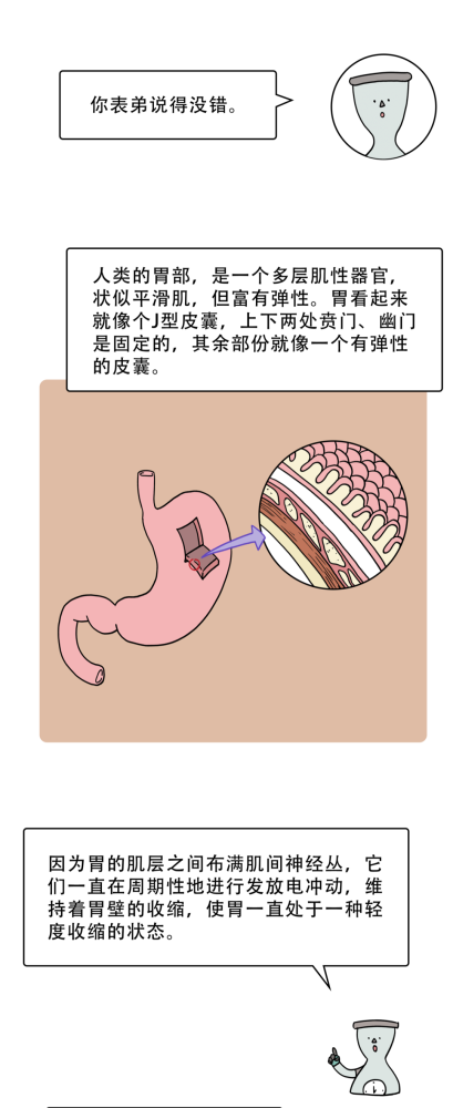 俞敏洪“接棒”罗永浩