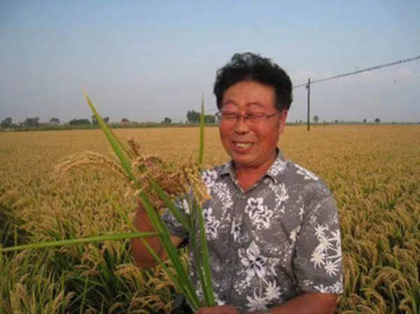 1967年至1985年,许雷先后在乡(公社)农科站,县五七农业大学,县农业