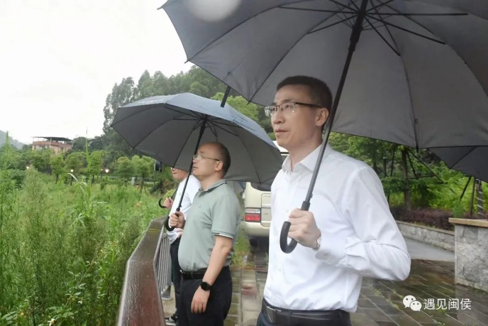 县领导陈祥波,林建善,赵兴,胡清铨参加