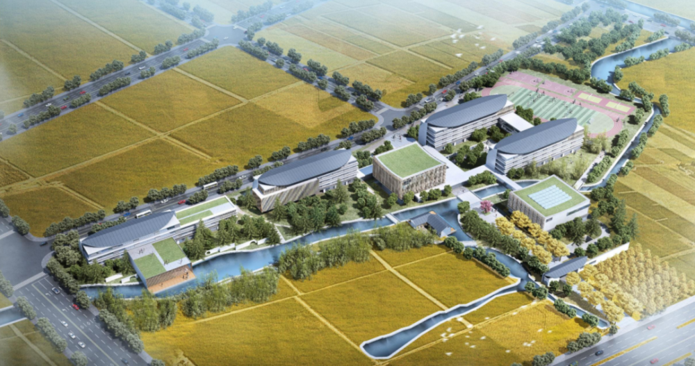 对东至庄行路,南至南亭公路,西至戴家港,北至南桥塘,共计27户农户进行