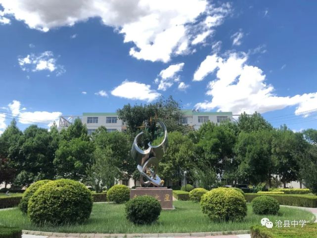 沧县中学2022年美术特长生招生简章