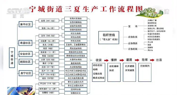 央视朝闻天下聚焦宁津一张思维导图确保小麦颗粒归仓