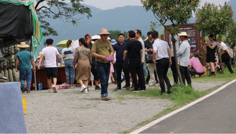 陶家岗位于石门县夹山镇杨坪社区一组,共43户157人,有70多年赈酒不收