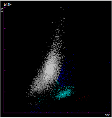 如何识别白细胞散点图中暗藏的杀机
