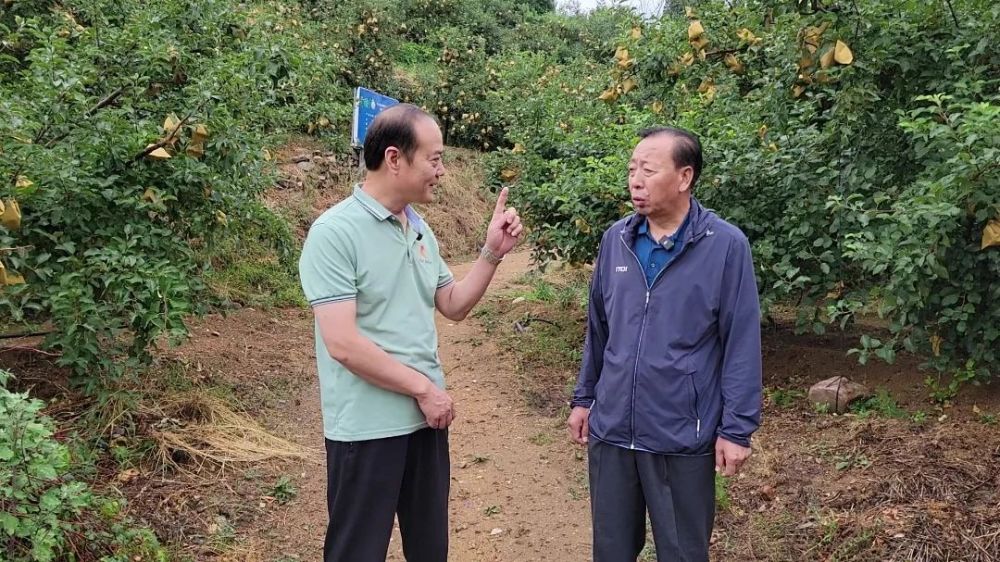 重访内丘岗底村李保国老师咱们村越来越好啦