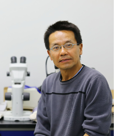 清华思客|钟毅 雷博:追寻记忆的痕迹——人类怎样认识记忆?_腾讯新闻