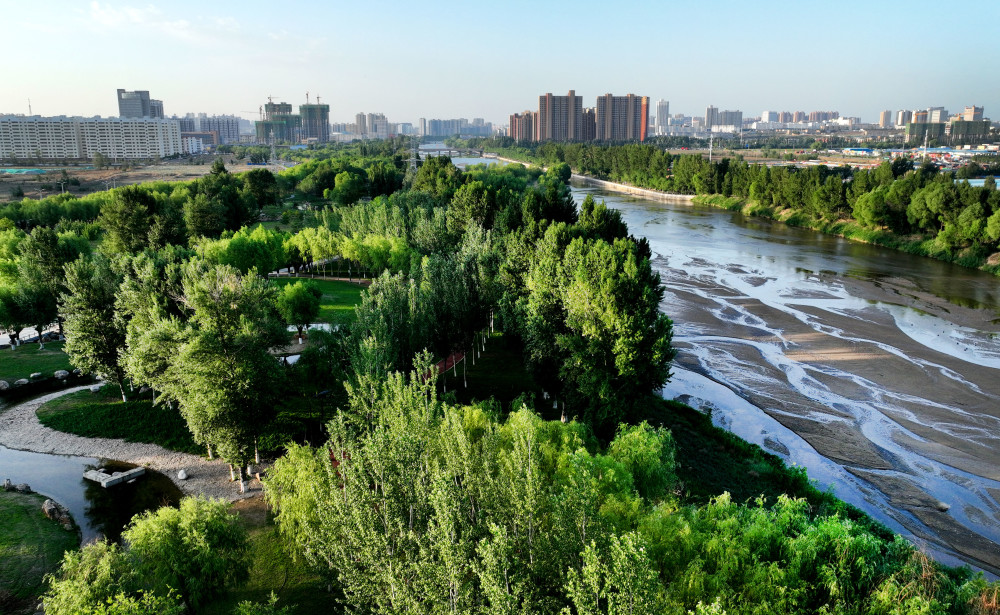 (环境)陕西榆阳:林业碳汇让"绿色颜值"增添魅力_腾讯新闻