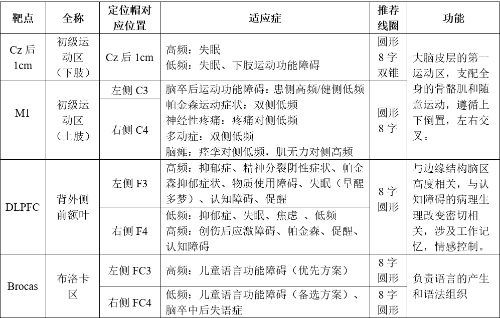 图4 额叶刺激靶点与定位帽对应位置(a,b)额叶在4个脑区中面积最大