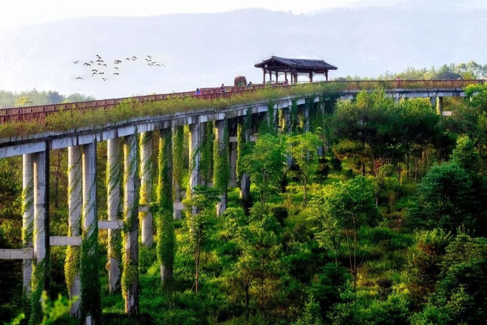 氧吧之旅福見龍巖武平梁野山千鷺湖古田會議會址汽車純玩2日遊