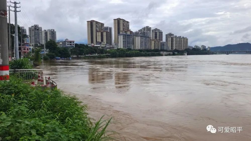 洪峰過境昭平,今天水情通報……昭平未來一週全是雨雨雨雨雨…_騰訊