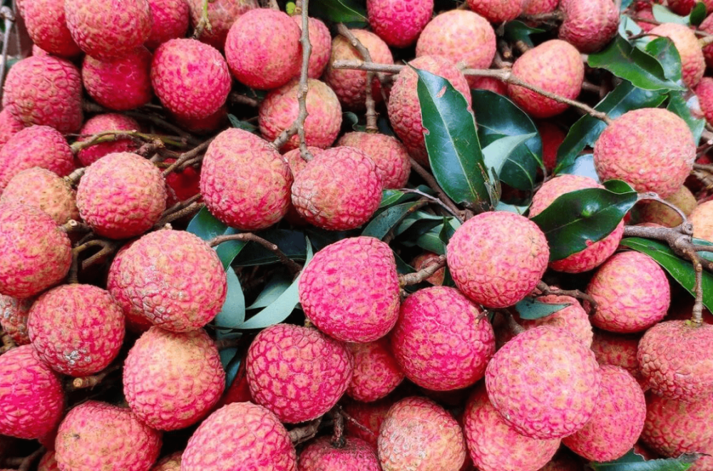 荔枝最好吃的5个品种,"桂味"只排第二,第一堪称"荔枝之王"