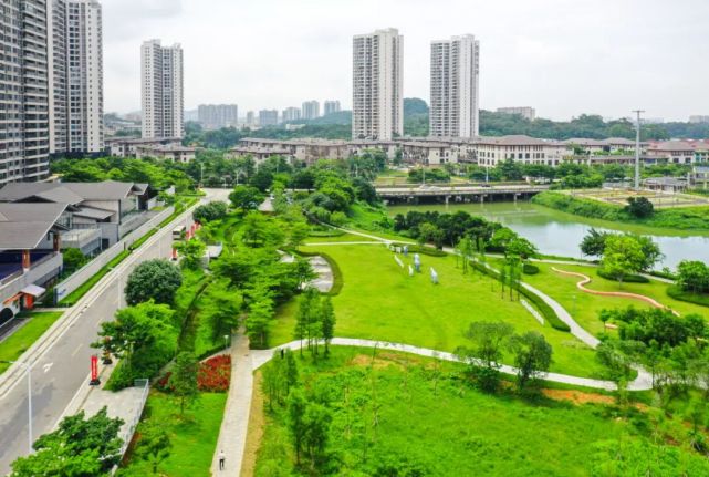 共青湖公園.梁文棟 攝市領導楊驍婷,方小勇,黃寧參加調研.