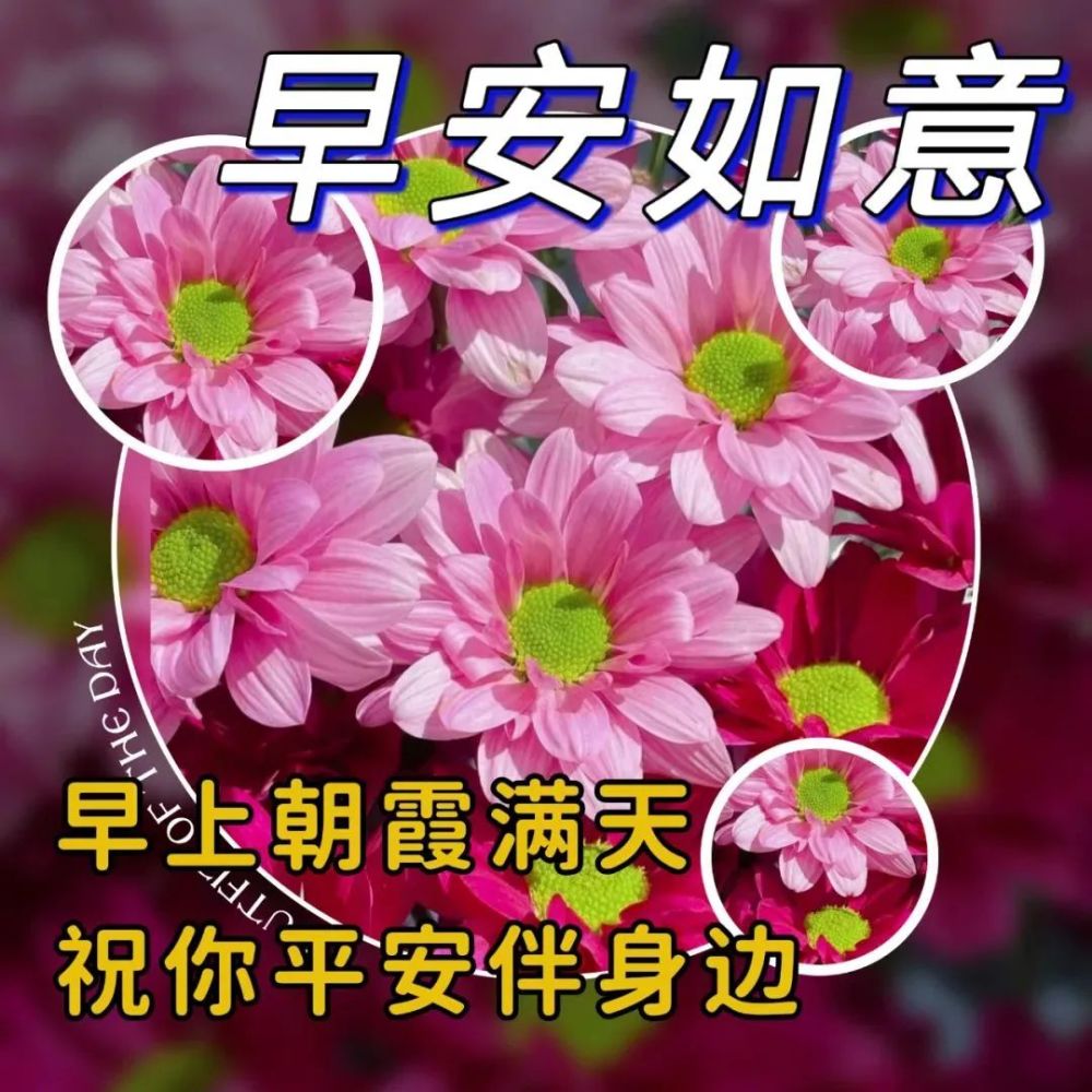 清晨早上好问候祝福动态表情图片早上好图片带字带祝福语