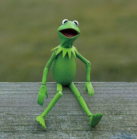 全球唯一一只博士青蛙博士蛙在星光大道有星星哦博士蛙在星光大道的第