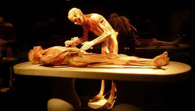 这家伙还和朋友一起半夜去坟地,扒了不少无主尸体偷偷解剖,闭着眼睛就