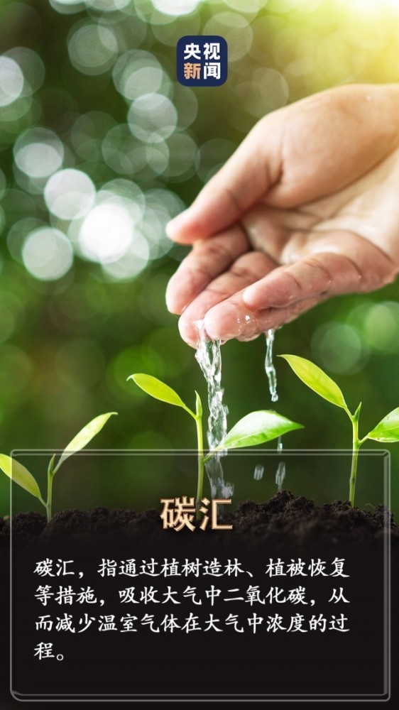 在希望的田野上·三夏时节丨夏粮收获过八成夏粮收购开局购销两旺英文字幕纪录片推荐2023已更新(今日/微博)