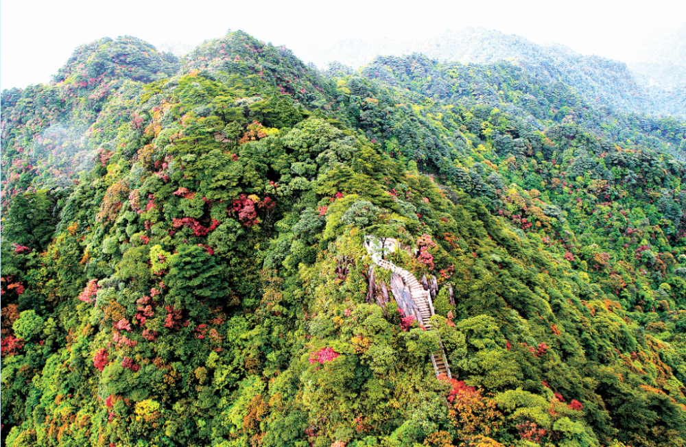 青山叠翠 绿意栖居——广东省韶关市创建国家森林城市综述_腾讯新闻