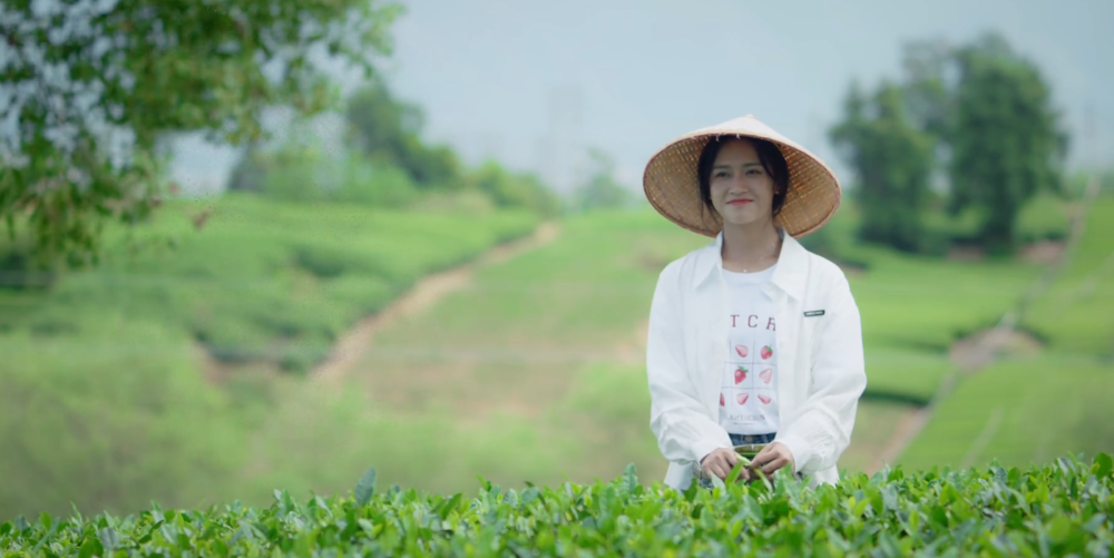 开播就是第一,16集全放出太上瘾,《何加加的桃花源记》来了