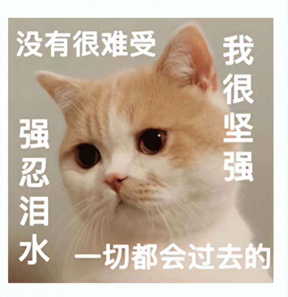 她有点不知所措,"捡垃圾"那几个字像不真实似的,回荡在她的脑海中.