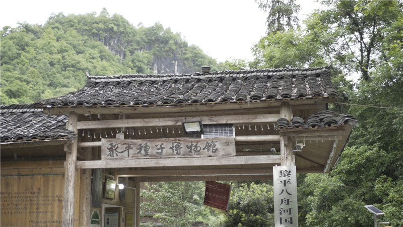 【山水间的种子密码】黎平种子博物馆:种子的梦_腾讯新闻