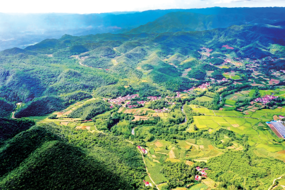 偏远山村化石村旅游村致富村