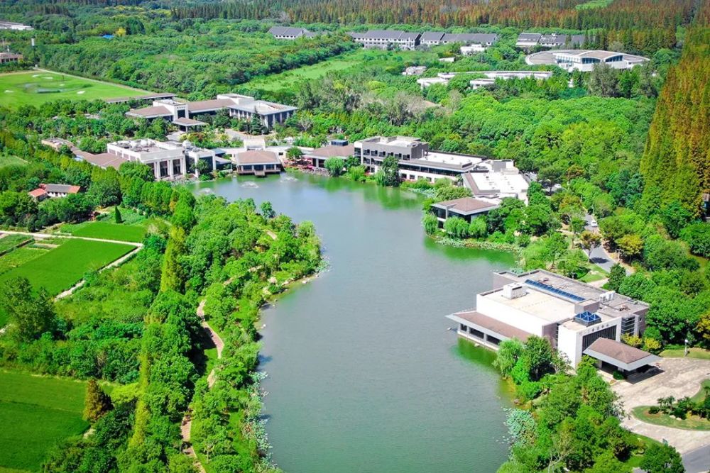 上海度假村 腾讯网