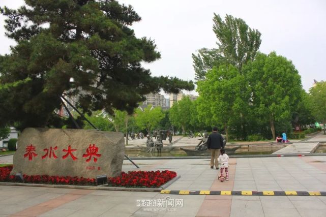 近一段时间,哈尔滨市道里区群力各大公园人工湖湿地内,已经完成注水