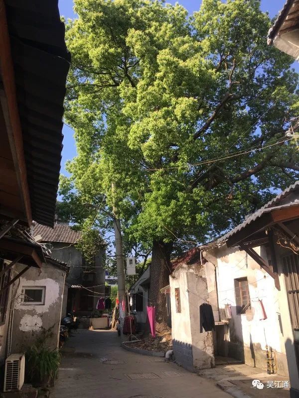 扇子街是苏州吴江平望古镇的一条老街距今已有近200年的历史