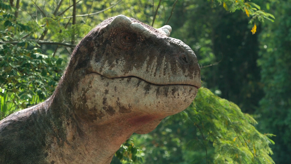 《史前星球》中第一个出场的就是大名鼎鼎的霸王龙,但是影片中的霸王