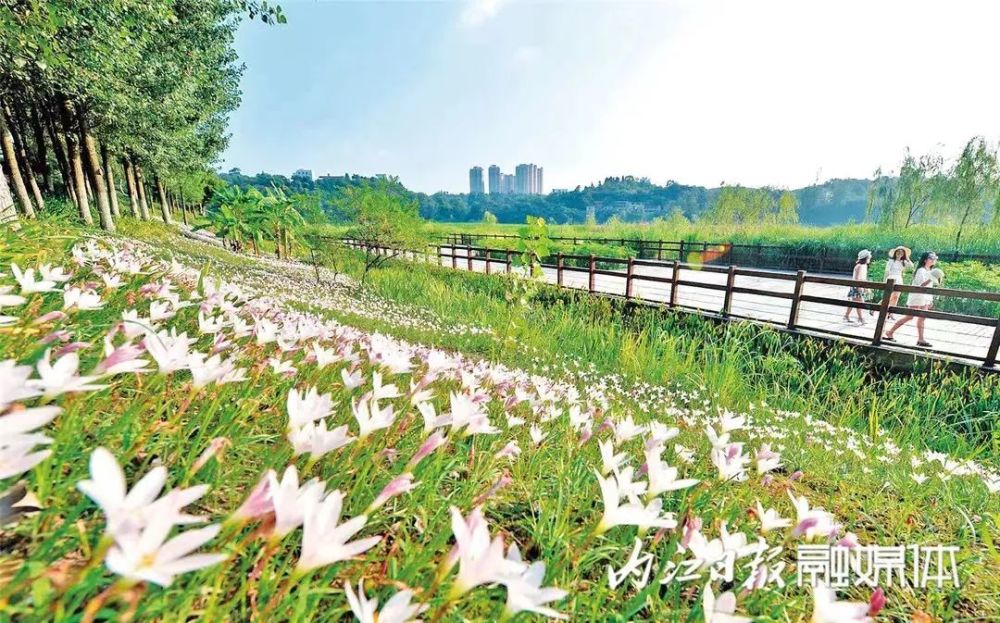 即将复出内江清溪湿地公园受灾河滩全面焕新