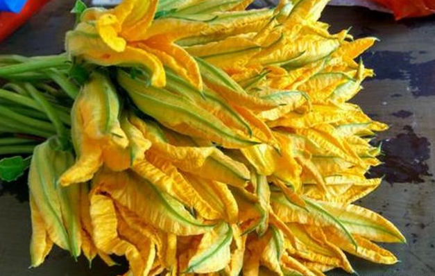 南瓜花 被很多人忽视的 全能蔬菜 却是广东人最爱的蔬菜之一 腾讯新闻