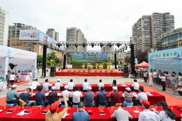 茶人汇聚,"香"满匀城 都匀人民广场好热闹!