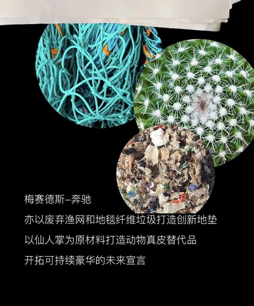贝嫂模仿女王被群嘲，小贝封爵又失败：“贵族梦”做了十几年，越装越尴尬…在柳树下的读后感100字2023已更新(腾讯/头条)在柳树下的读后感100字