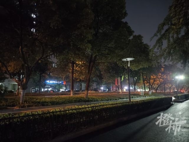 天目山路这段"夜灯光为何不会落地"?