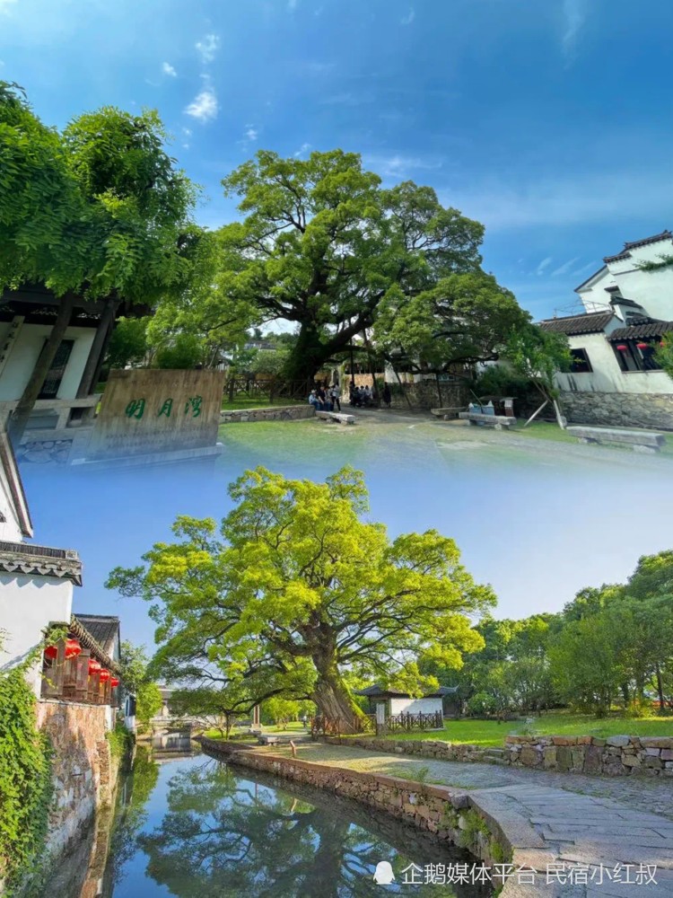 苏州旅游｜这些村落，藏着西山岛的古韵时光_腾讯新闻