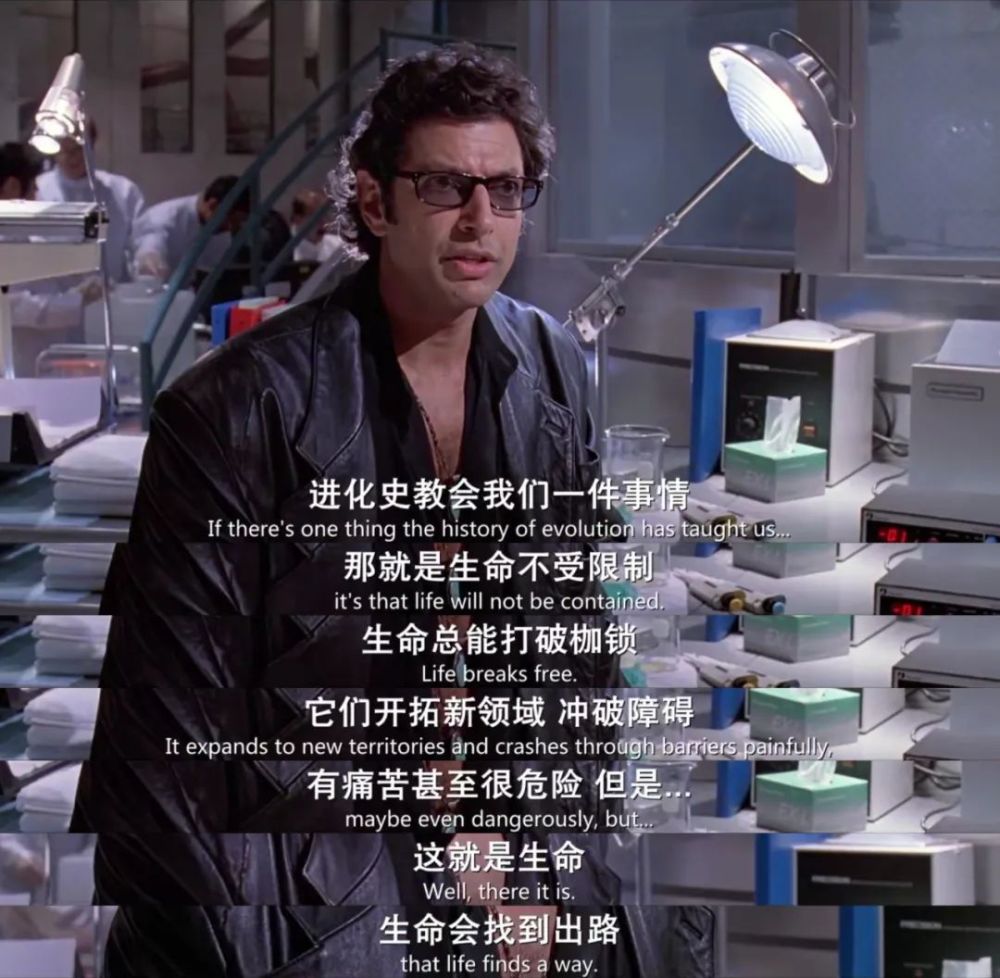 图片[51] - 侏罗纪世界沧龙是哪部完整无删减资源(高清版）完整中字资源已完结 - 影视资源论坛 - 文件资源 - 小轻秀场