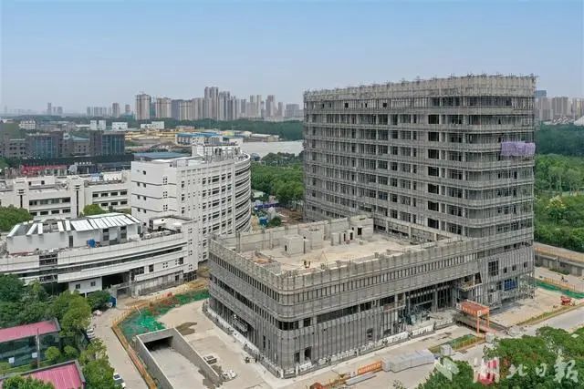 儿科重症医学pdf_重症医学科_张丽娜 重症医学青年