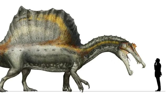 《侏罗纪世界》棘龙消失之谜