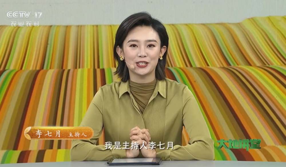 央视新面孔李七月被重用,主持机会增多,亮相新节目提高知名度插图7
