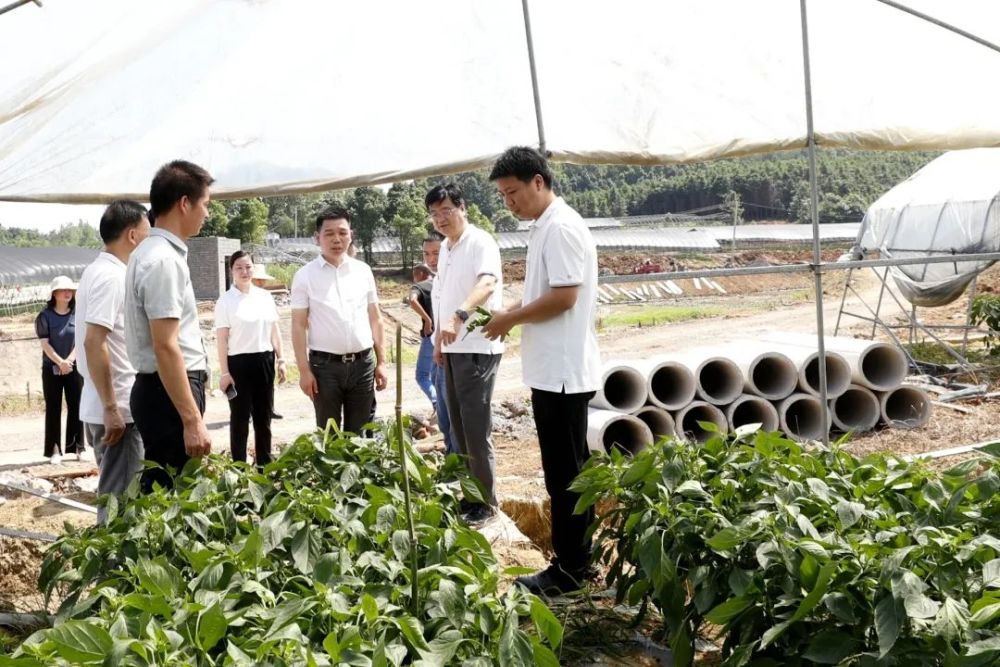 武汉地铁集团乡村振兴驻村工作队入驻武汉市江夏区山坡街道胜丰村