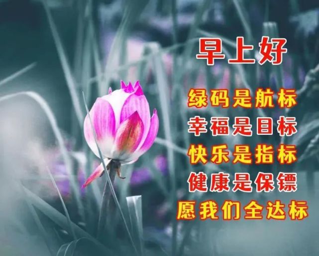 創意好看的早安問候祝福語圖片帶字,早上好問候表情圖片