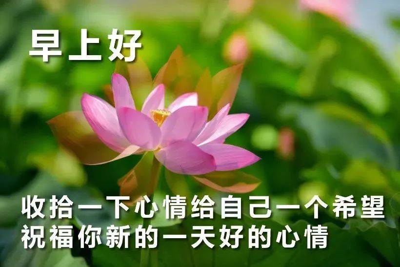 微信最新早安圖片帶字祝福語祝福動態表情圖片大全